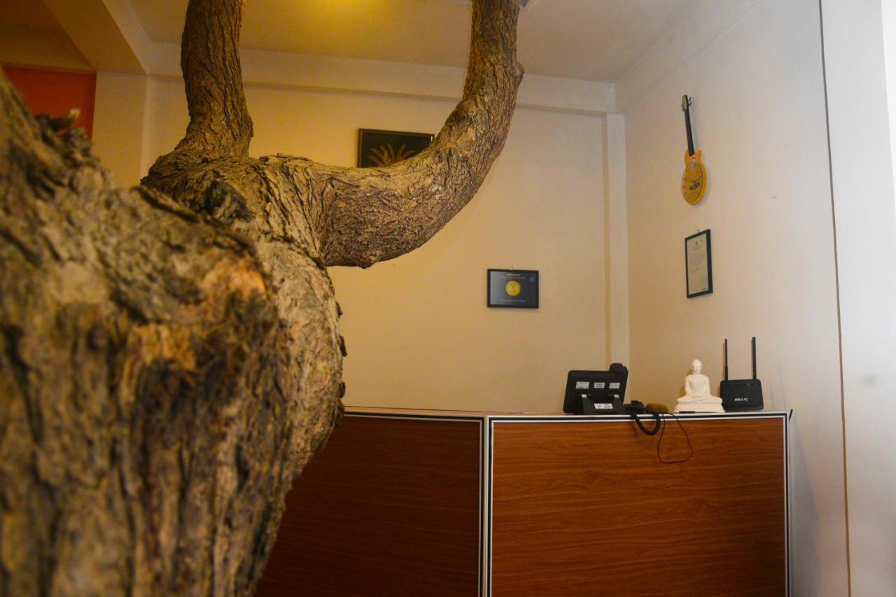 Thammenna Eco Cabins 丹不拉 外观 照片